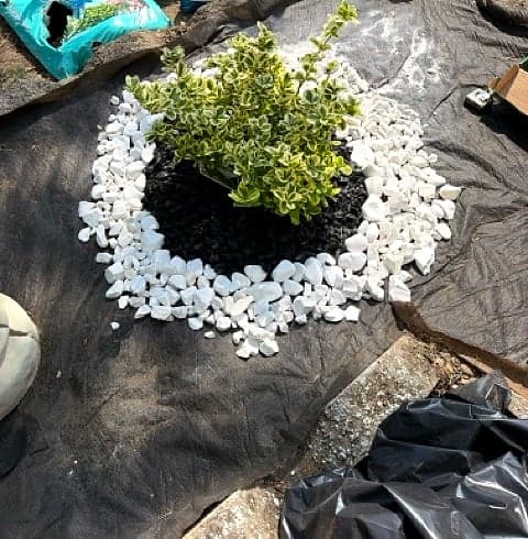 Perennial Planting, by Heights Yard Solutions